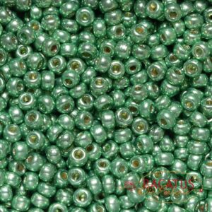 Miyuki Rocailles 6-4214 duracoat galvanized dark mint green 9,9g