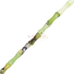 South jade bamboo shiny green approx. 5x13mm, 1 strand