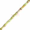Jasper bamboo stone beads about 4x10mm, 1 strand - light green